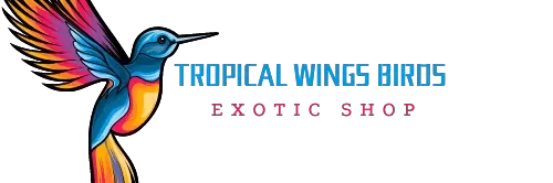 Tropical wings